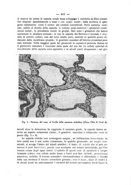 La rassegna d'ostetricia e ginecologia