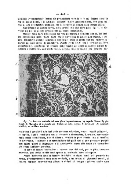 La rassegna d'ostetricia e ginecologia