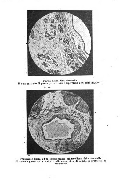 La rassegna d'ostetricia e ginecologia