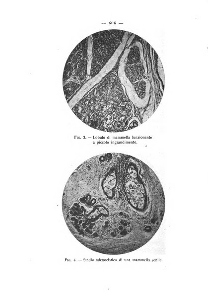 La rassegna d'ostetricia e ginecologia