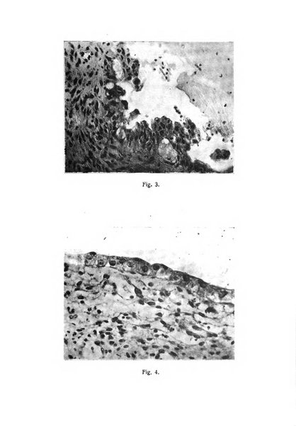 La rassegna d'ostetricia e ginecologia