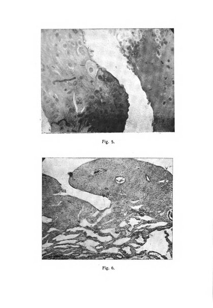 La rassegna d'ostetricia e ginecologia