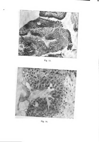 La rassegna d'ostetricia e ginecologia