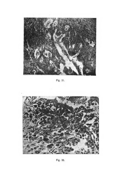 La rassegna d'ostetricia e ginecologia