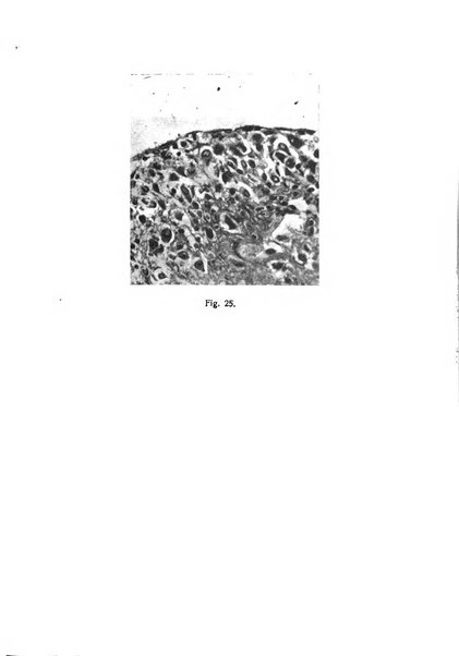 La rassegna d'ostetricia e ginecologia