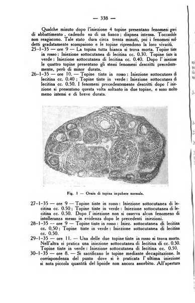 La rassegna d'ostetricia e ginecologia