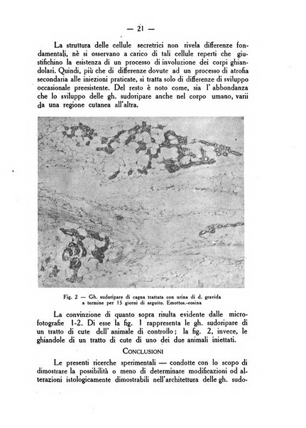 La rassegna d'ostetricia e ginecologia