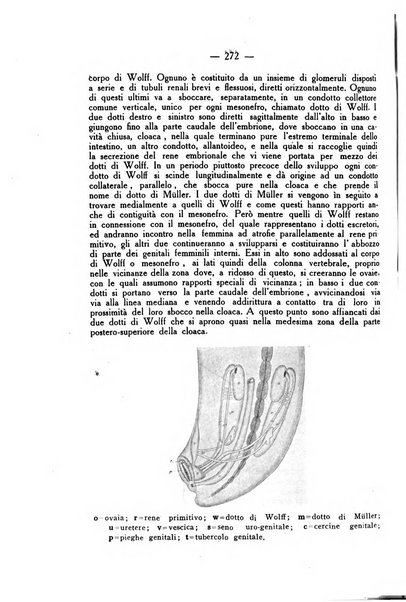 La rassegna d'ostetricia e ginecologia