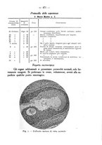 giornale/CUB0708942/1936/unico/00000509