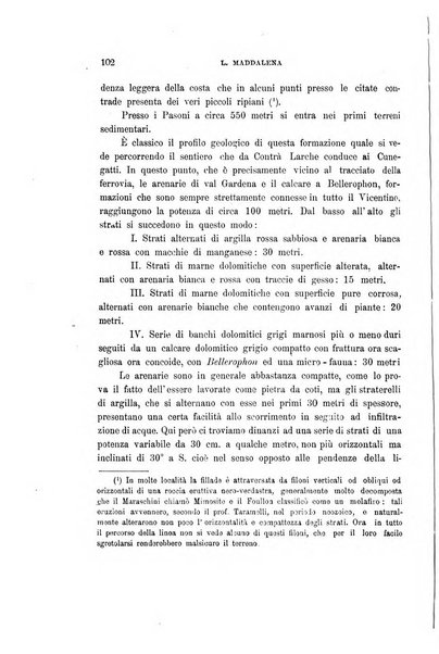 Giornale di geologia pratica