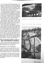 giornale/GEA0016820/1937/unico/00000187