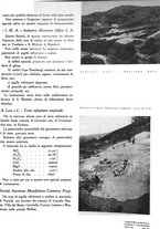 giornale/GEA0016820/1937/unico/00000195