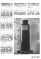 giornale/GEA0016820/1938/unico/00000229