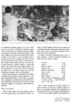 giornale/GEA0016820/1938/unico/00000339
