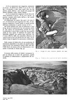 giornale/GEA0016820/1941/unico/00000332