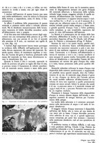 giornale/GEA0016820/1941/unico/00000335