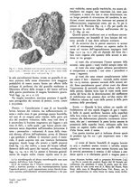 giornale/GEA0016820/1941/unico/00000402