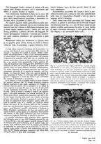 giornale/GEA0016820/1941/unico/00000407