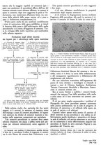 giornale/GEA0016820/1941/unico/00000413