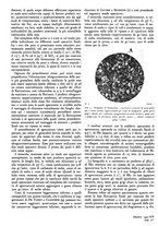 giornale/GEA0016820/1941/unico/00000566