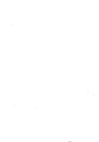 giornale/GEA0039995/1908/unico/00000004