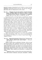 giornale/GEA0048100/1895-1897/unico/00000027