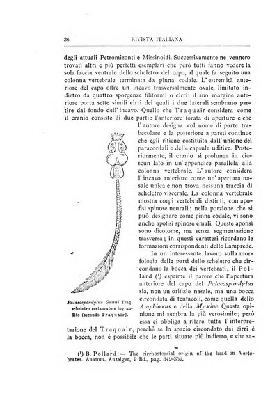 Rivista italiana di paleontologia