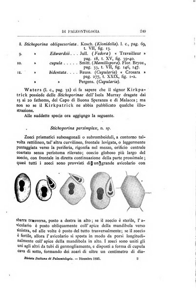 Rivista italiana di paleontologia