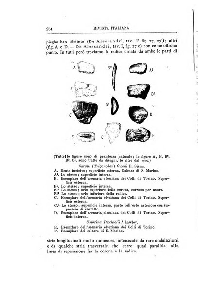 Rivista italiana di paleontologia