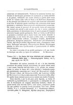 giornale/GEA0048100/1895-1897/unico/00000319
