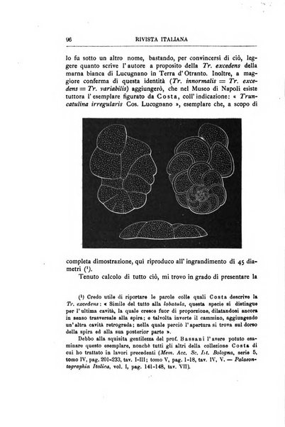 Rivista italiana di paleontologia