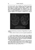 giornale/GEA0048100/1895-1897/unico/00000410