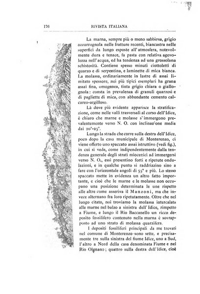 Rivista italiana di paleontologia