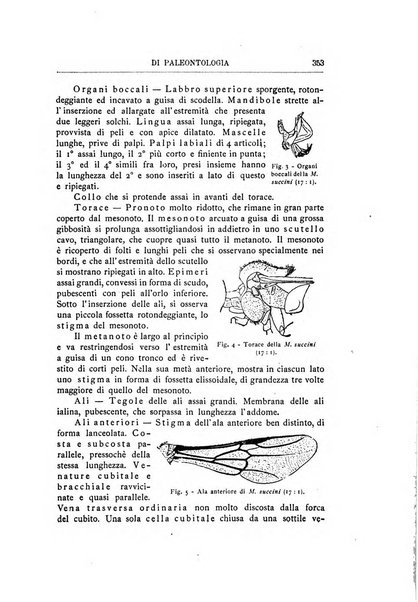 Rivista italiana di paleontologia