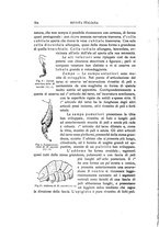 giornale/GEA0048100/1895-1897/unico/00000704