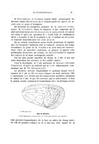 Rivista italiana di paleontologia