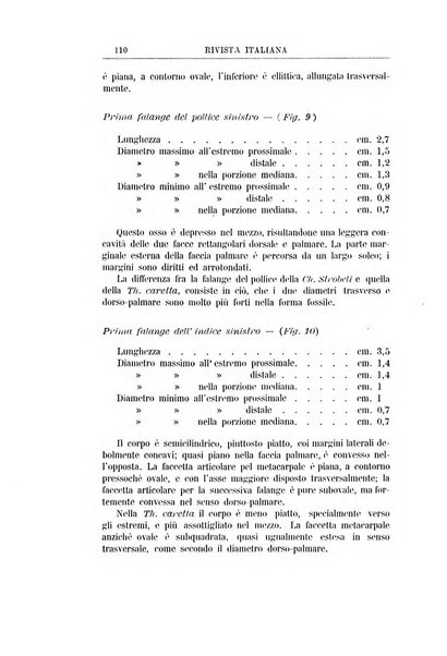 Rivista italiana di paleontologia