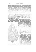 giornale/GEA0048100/1898-1900/unico/00000158