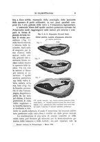 giornale/GEA0048100/1898-1900/unico/00000191