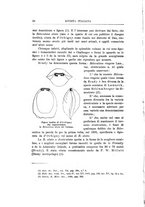 giornale/GEA0048100/1898-1900/unico/00000206