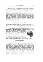 giornale/GEA0048100/1898-1900/unico/00000209