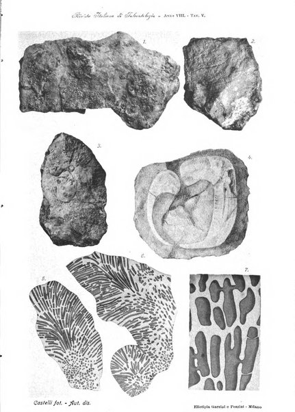 Rivista italiana di paleontologia