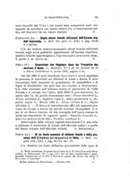 giornale/GEA0048100/1901-1903/unico/00000291