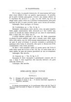 giornale/GEA0048100/1901-1903/unico/00000355