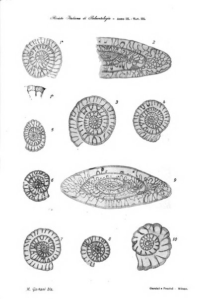 Rivista italiana di paleontologia