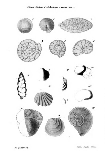 Rivista italiana di paleontologia