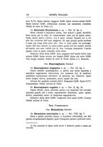 giornale/GEA0048100/1901-1903/unico/00000460