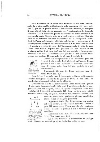 Rivista italiana di paleontologia