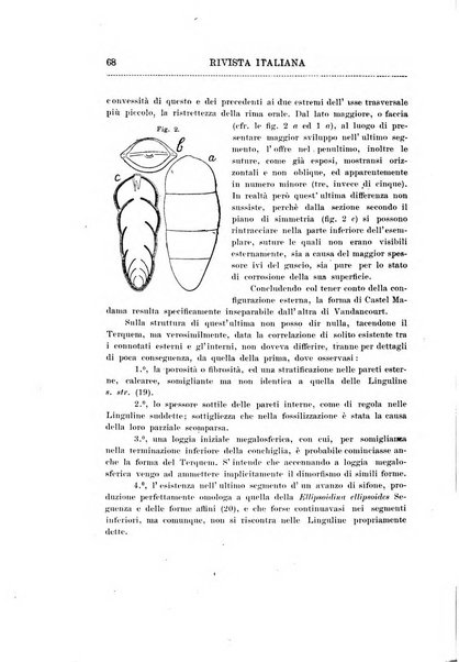 Rivista italiana di paleontologia