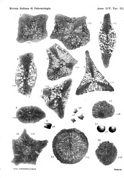 Rivista italiana di paleontologia